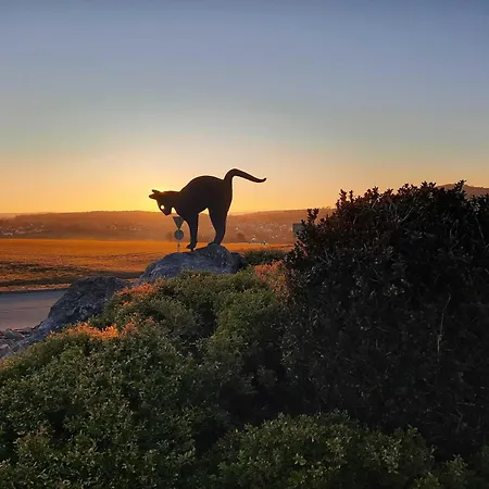 Robinson Romantikpfad 161